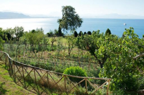La Conca Dorata